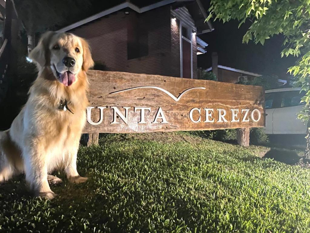 Punta Cerezo Apart Carilo Zewnętrze zdjęcie